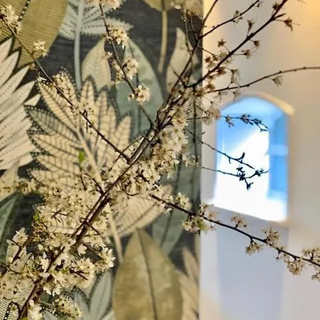 The House Villa Den Dungen