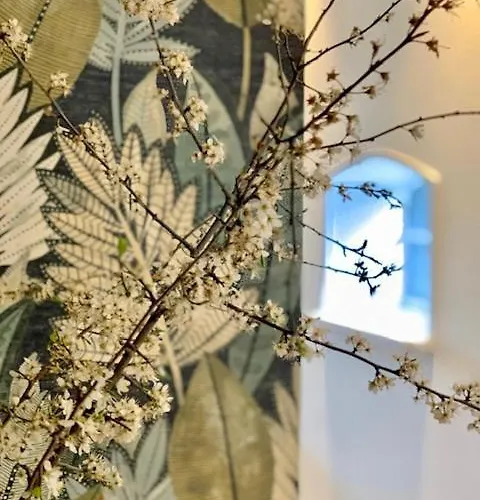 The House Villa Den Dungen