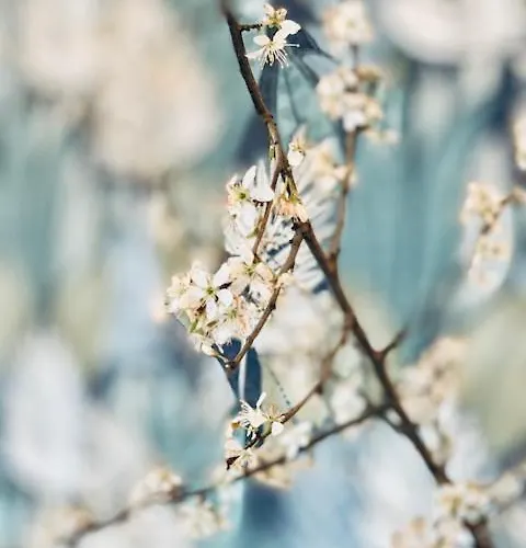 Villa The House Den Dungen